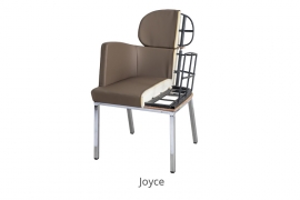 30-Joyce